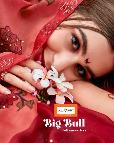 Big Bull Printed Saree, wholesale sarees at Sumeet Wholesale Raipur